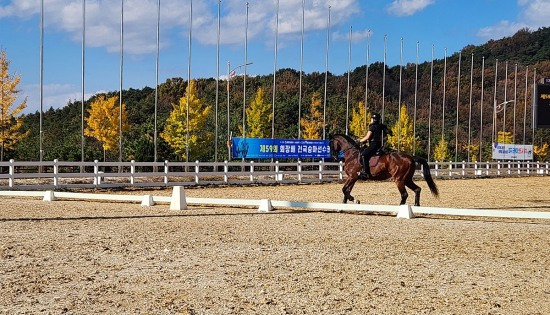 상주국제승마장에서는 지난 8일부터 오는 17일까지 대한승마협회가 주최·주관하는 제59회 회장배 전국승마선수권대회를 연다.(상주시 제공)