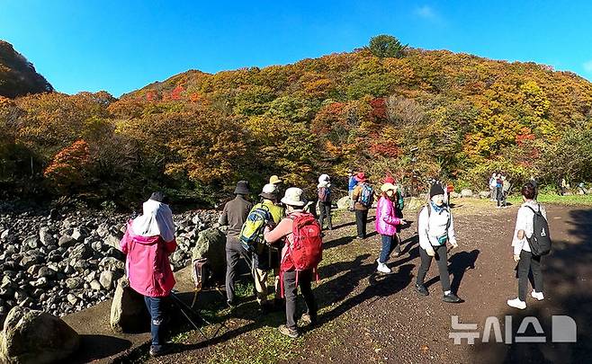 [제주=뉴시스] 우장호 기자 = 늦가을이 깊어가는 11일 오전 제주 한라산 천아계곡에 단풍이 물들어가고 있다. 절기상 입동이 지났지만 올해 이례적인 늦더위 탓에 한라산 단풍도 일주일 이상 늦게 절정을 맞고 있다. 2024.11.11. woo1223@newsis.com