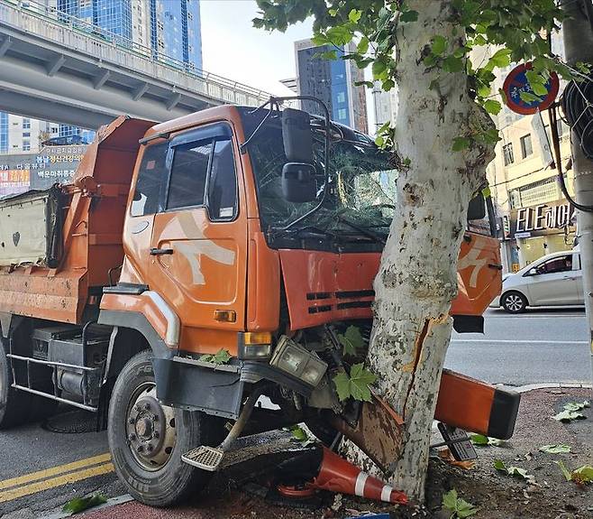 [광주=뉴시스] 이영주 기자 = 11일 오후 3시25분께 광주 남구 백운동 백운교차로 주변에서 브레이크가 고장난 덤프트럭이 주행 중 가로수를 들이받았다.  (사진 = 광주 남구 제공) 2024.11.11. photo@newsis.com *재판매 및 DB 금지