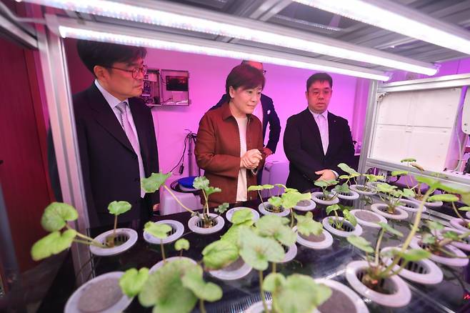 송미령 농림축산식품부 장관이 지난달 17일 부산에 소재한 대한제강 신평공장을 방문하여 폐열 활용 시설과 수직농장을 비롯한 스마트팜을 둘러보고 있다. [연합]