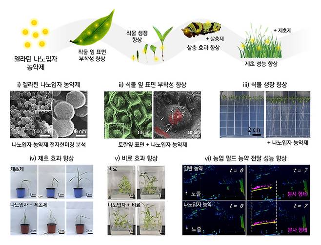 젤라틴 나노 입자를 활용해 식물 성장 촉진과 살충·제초 효과를 향상시키는 농약 보조제 연구 요약도.