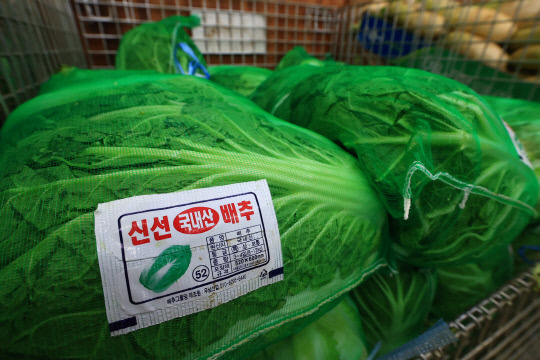 김장재료 수급 및 할인지원 상황 점검. 농식품부 제공