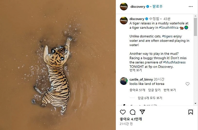 image.png 디스커버리가 올린 호랑이 사진