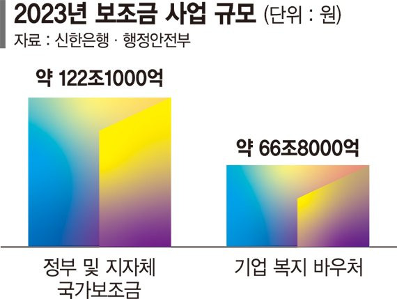 은행 '토큰'으로 年122조 국고보조금 잡는다 ['현