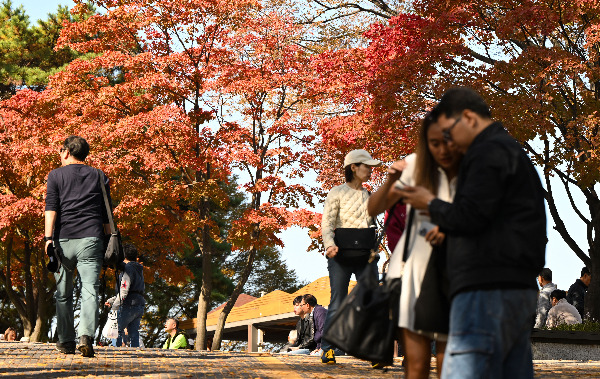 가을 날씨가 이어졌던 지난 3일 서울 용산구 남산서울타워에서 시민들이 단풍길을 걷고 있다. 윤웅 기자