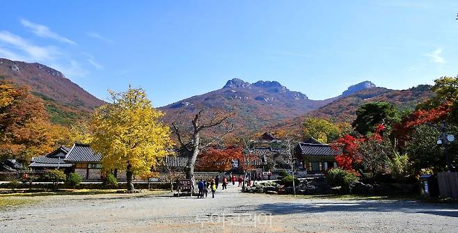 두륜산 가을 단풍/사진-해남군