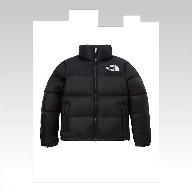 푸퍼 점퍼 39만9천원 The North Face.