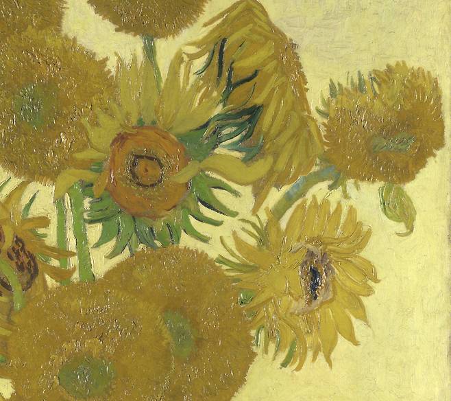 해바라기 열다섯 송이(부분 확대).