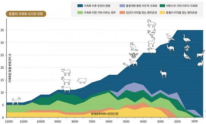 동물이 인류와 함께 살아가기 시작한 이유와 시기를 표현한 그래프. 2014년 영국 옥스퍼드대와 유니버시티 칼리지 런던 공동연구팀이 그렸다. 어두운 파란색으로 표현된 그래프는 가축화 이후 유전자 변형을 겪은 동물 분류군의 수를 나타낸다. &nbsp;5000년 전부터 크게 증가했고 개별 동물이 유전적인 변화를 겪기 시작한 시점도 확인할 수 있다. 한편 머릿니나 기생충처럼 동물이 편익을 위해 공생하게 된 동 동물 분류군의 수(노란색)는 현대에 가까울수록 줄어드는 것을 볼 수 있다. Annual Reviews 제공