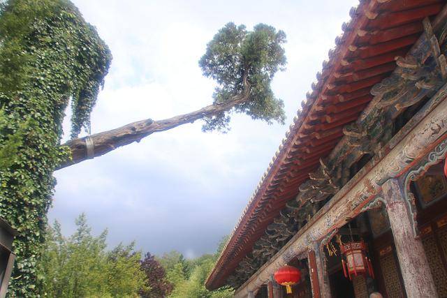 남곽사 천년고백. ⓒ최종명