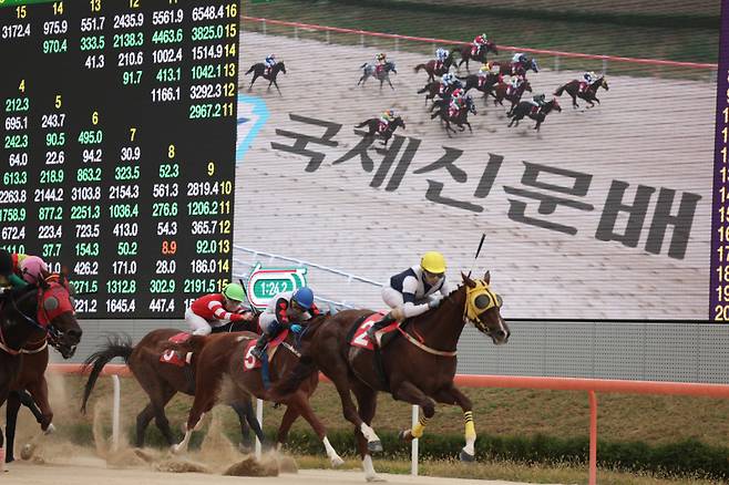 강서자이언트가 지난 10일 렛츠런파크 부산경남에서 열린 국제신문배 대상경주에서 1위로 질주하고 있는 모습. 한국마사회