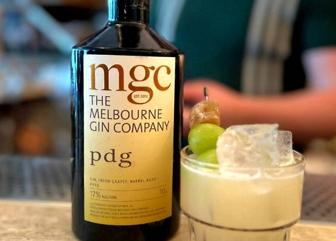 MGC 피노 드 겜브룩. 홈페이지