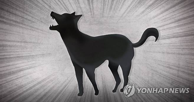 개 공격 (PG) [제작 정연주] 일러스트