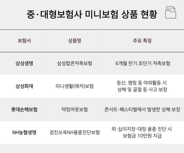 중·대형보험사 미니보험 상품 현황 / IT조선