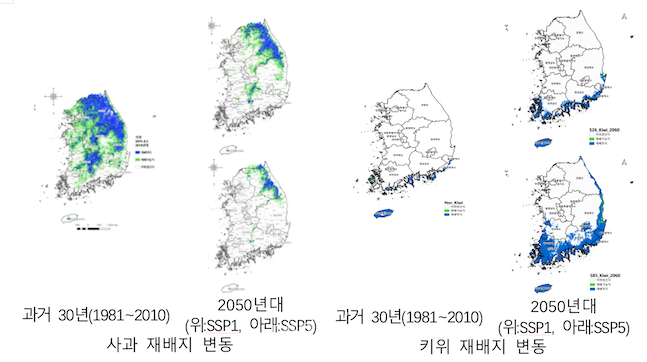 기후변화로 인한 2050년대 사과 및 키위 재배지 변동 추이. ⓒ농촌진흥청