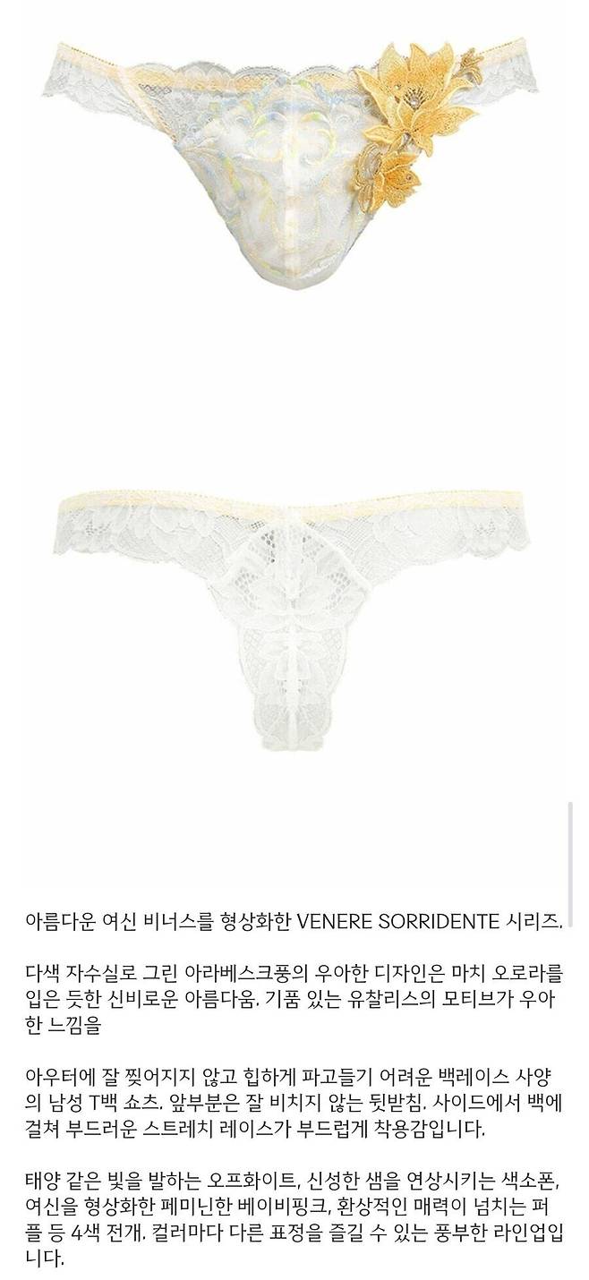 성진국 승부팬티 근황.jpg