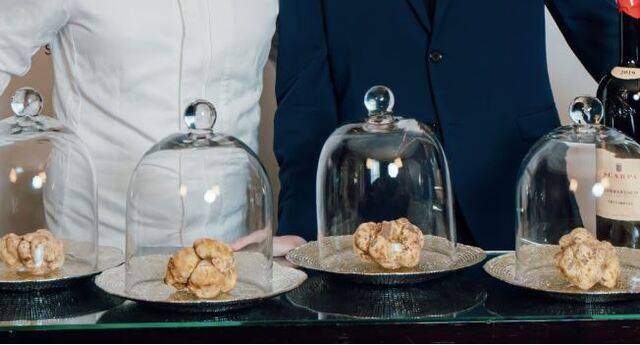 홍콩에서 열린 경매에서 다양한 화이트 트러플이 소개됐다. Castellana