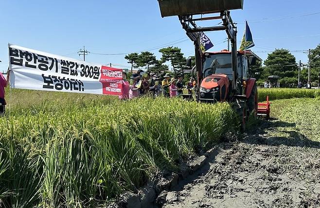 충남 부여군 농민들이 지난 9월 4일 오전 쌀값 보장 농민대회를 열고 쌀값 폭락과 농업말살 정책에 항의해 논을 갈아엎고 있다. 송인걸 기자