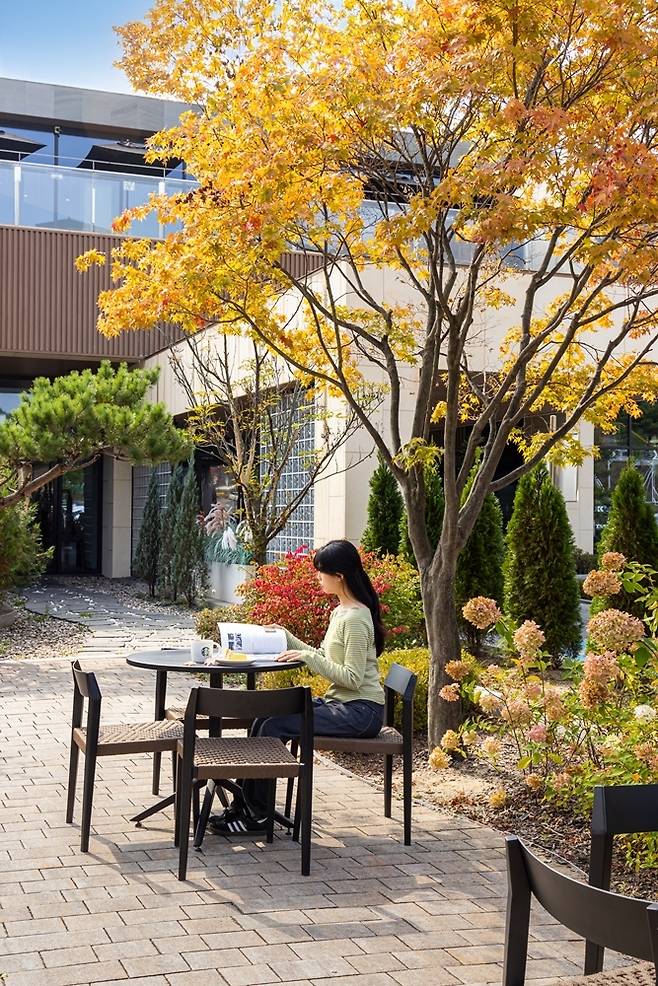 스타벅스 가을철 나들이 매장 중 광릉수목원점. <스타벅스>