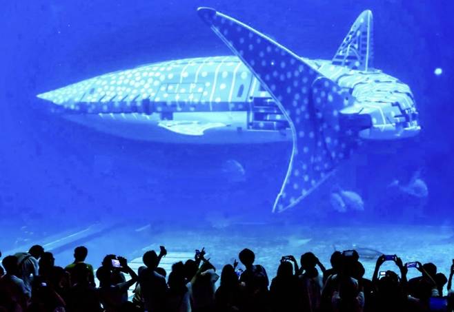 중국의 한 수족관에 고래상어 로봇이 전시돼 있다./사진=홍콩 SCMP 캡처