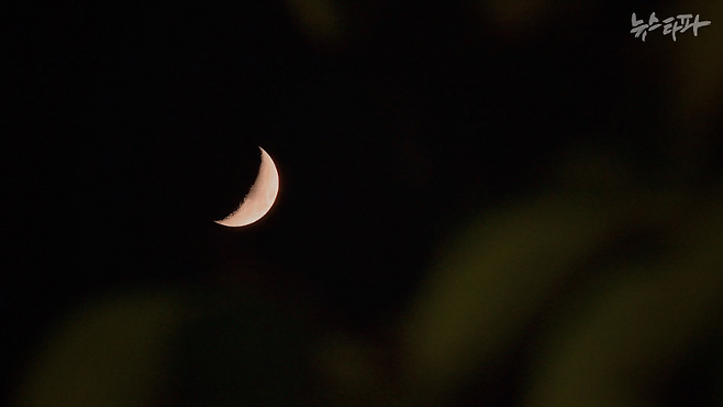 △ 11월 7일, 경기도 광주시 양벌동 에스코넥 앞에 설치된 아리셀 참사 유가족협의회 농성장에서 추모제가 진행되고 있다.