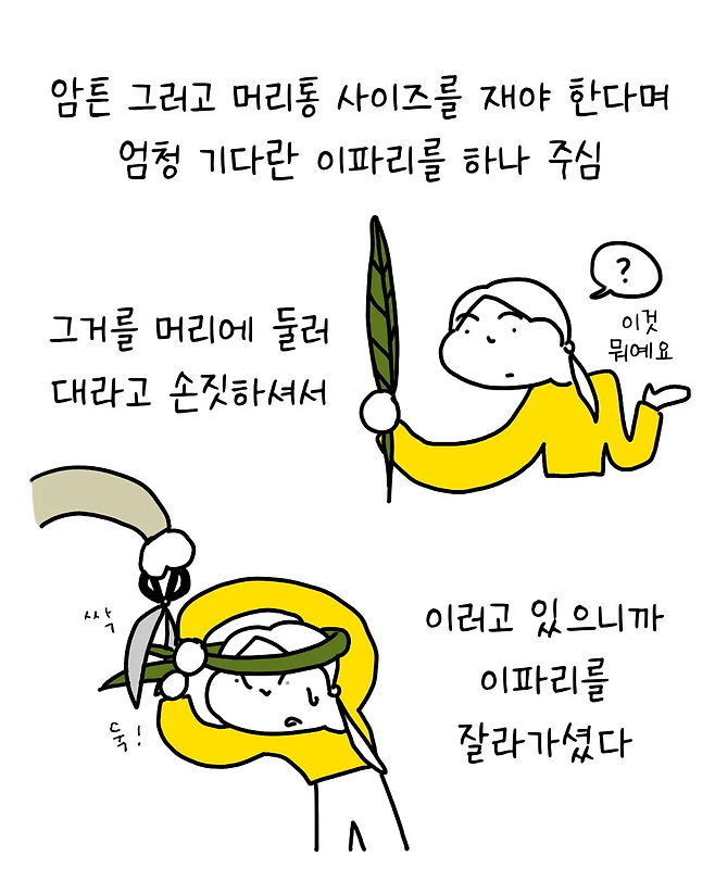 image.png 졸업 할 때 학사모 대신 꽃을 씌워주는 나라.jpg