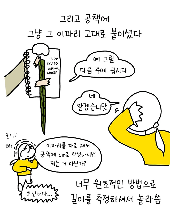 image.png 졸업 할 때 학사모 대신 꽃을 씌워주는 나라.jpg