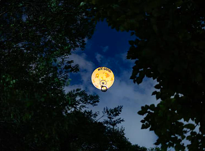 서울달 / 사진= 비짓 서울