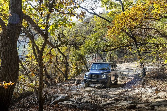 디 올 뉴 메르세데스-벤츠 G 580 위드 EQ 테크놀로지