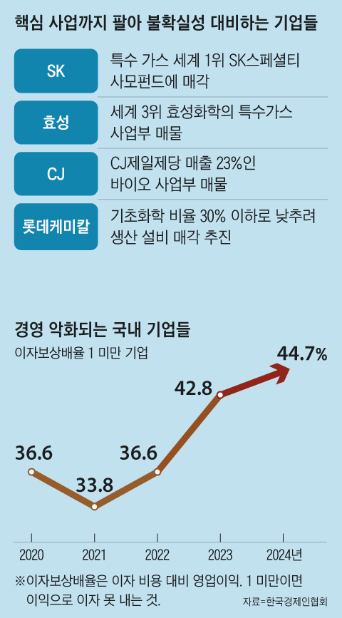 그래픽=김성규