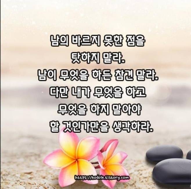 삶이 팍팍할 때 한번씩 보는 불교의 가르침들