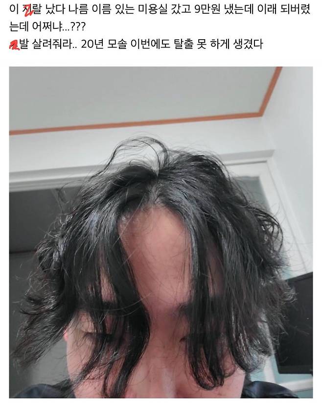 헤붕이 머리스타일 조졌다...jpg