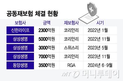 공동재보험 체결 현황/그래픽=윤선정