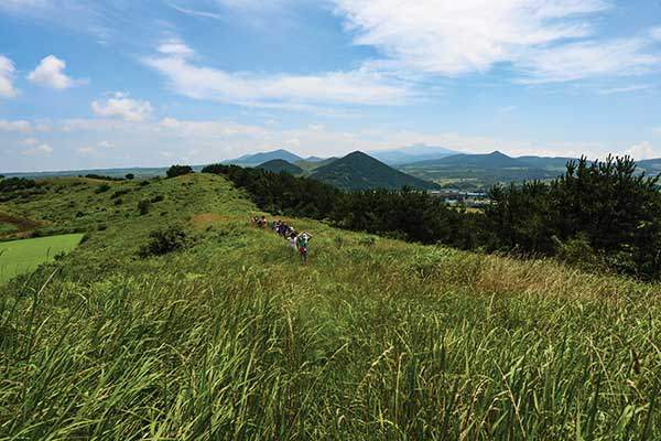 누운오름 동쪽 능선 너머로 중산간의 오름들이 펼쳐졌다. 제주 풍광의 끝은 대부분 한라산이다.