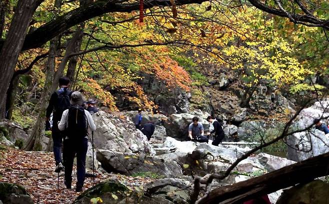 내연산 12폭포 트레킹에 나선 사람들