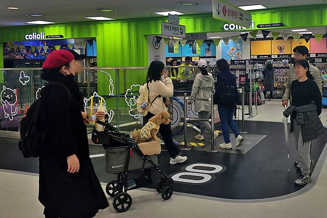 롯데마트 신갈점 1층에 문을 연 콜리올리 펫타운/사진제공=롯데쇼핑