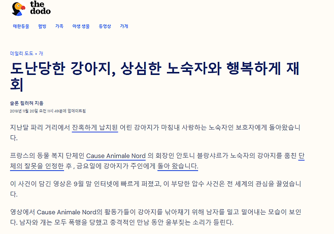 12313.png 노숙자의 강아지를 강제로 데려가는 동물보호단체.mp4