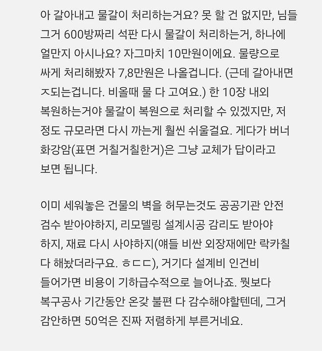 문화재 복구업체 현직이 말하는 똥덕여대 복구 비용