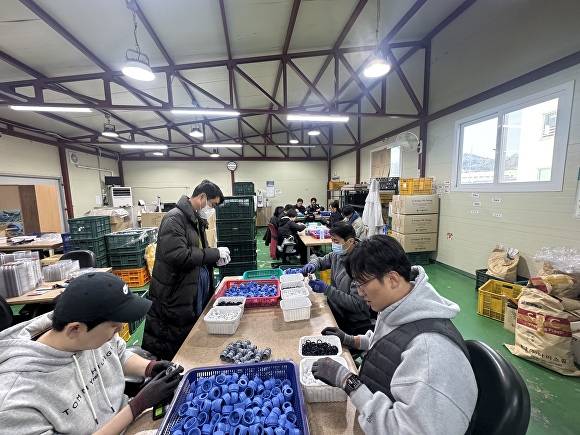 충북도 대변인실 직원들이 지난 23일 청주시 서원구 현도면의 장애인 보호 기업 ‘하늘재보호작업장’에서 일손을 돕고 있다. [사진=충북도]
