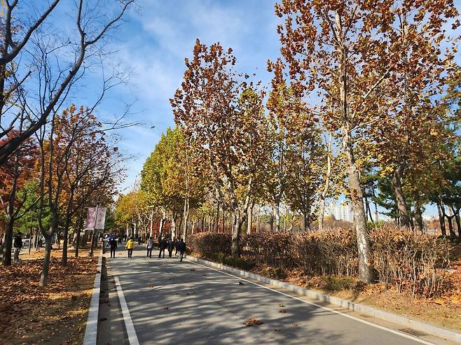 20241125_115158.jpg 늦가을 보라매공원 사진 보고 가라