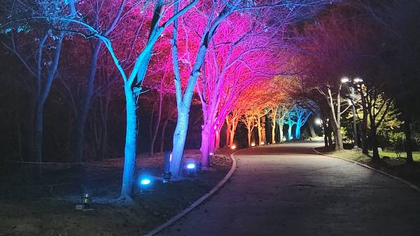 화려한 경관조명으로 단장한 삼계근린공원 모습. 김해시 제공
