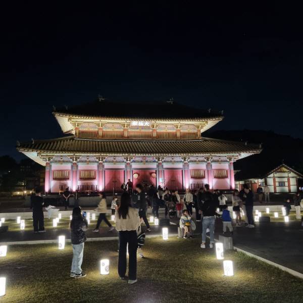 지난 5월 가야테마파크에서 열린 야간 빛축제를 관광객들이 관람하고 있다. 김해시 제공