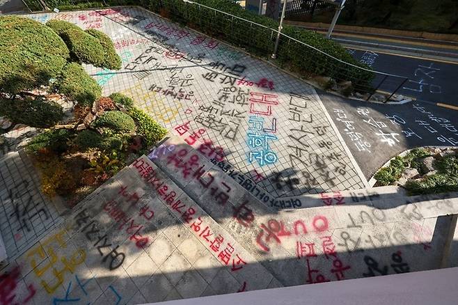 지난 24일 오후 서울 성북구 동덕여대 교내 도로 등에 남녀공학 전환 반대 래커칠이 돼 있다. 뉴시스