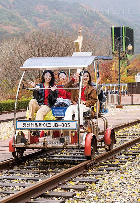 낙엽이 레일 곳곳에 떨어져 낙엽 길을 달리는 듯한 느낌을 준다.