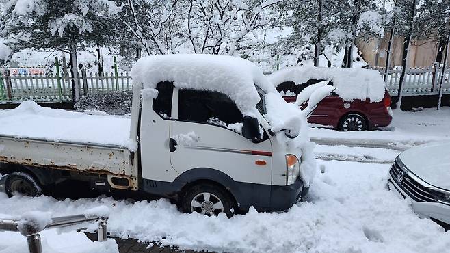 20241127_225004.jpg 단풍백설기