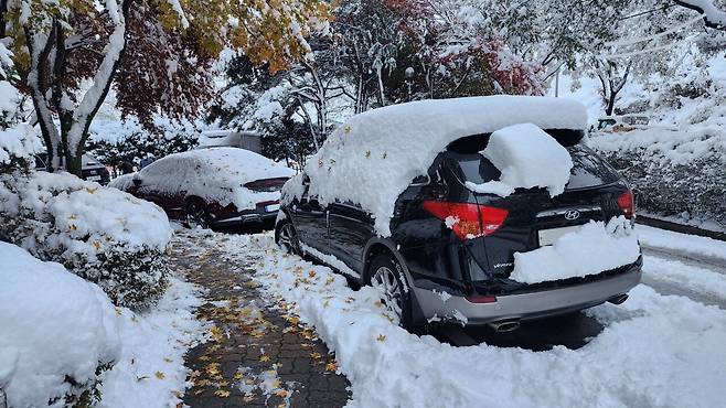 20241127_225422.jpg 단풍백설기