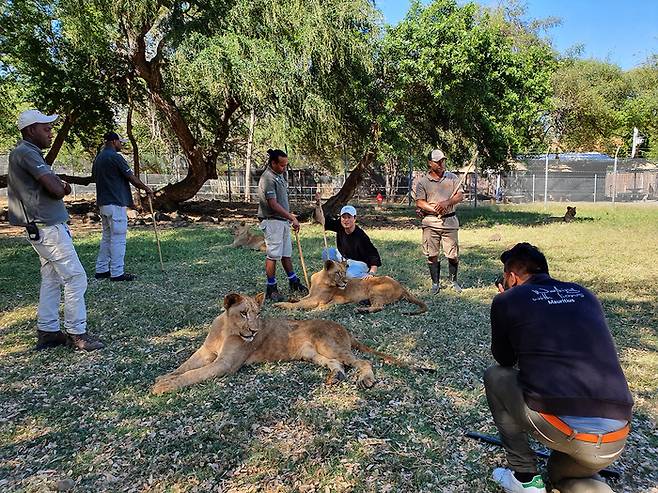 카셀라 자연공원 사자만지기 체험. 사진제공|팜투어