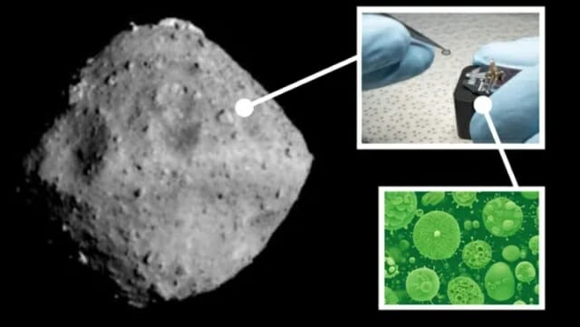 일본 탐사선 하야부사2가 촬영한 소행성 류구의 모습. 오른쪽 위 사진은 NASA 과학자들에게 제공된 류구 샘플이며, 우측 아래 사진은 박테리아 그림이다. (출처=Robert Lea/NASA/JAXA, 도쿄대, 고치대, 릿쿄대, 나고야대, 지바공과대학, 메이지대, 아이즈대, AIST)