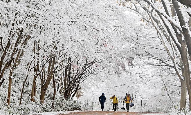 눈꽃터널을 이룬 무등산. 이른 아침부터 등산에 나선 시민들이 무등산의 설국을 감상하며 산에 오르고 있다./김영근 기자