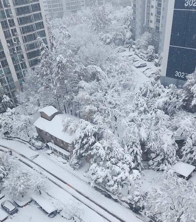 28일 오전 경기도 용인시의 한 아파트 단지. 독자 제공